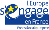 logo fse